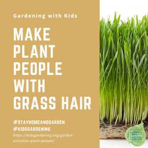 Make People with Grass Hair - National Garden Bureau