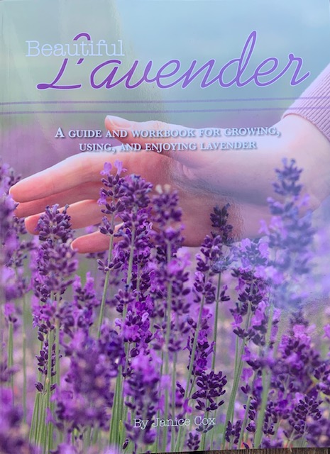 Beautiful Lavender - NGB member Janice Cox