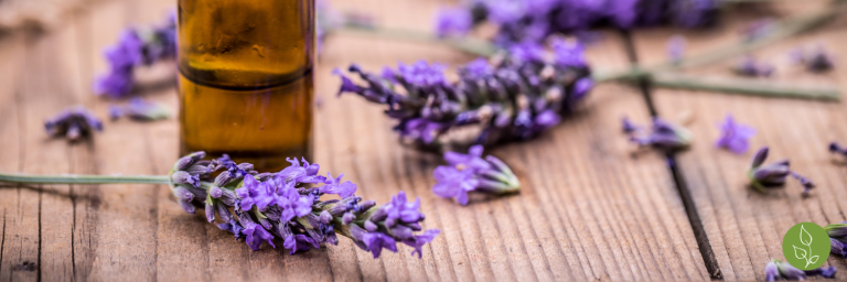 Lavender Health and Beauty Recipes
