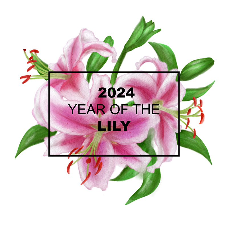 Year of the African Violet